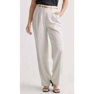 Stretch Crepe Pleated Wide Leg Pants, size 14